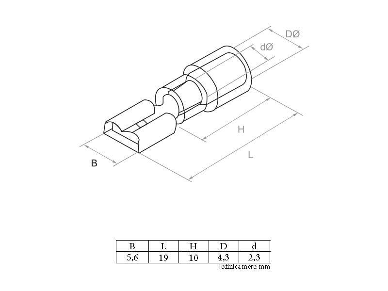 BR - BUKSNA ŽENSKA 1,5mm FDD2 187 -PAK 1/20
